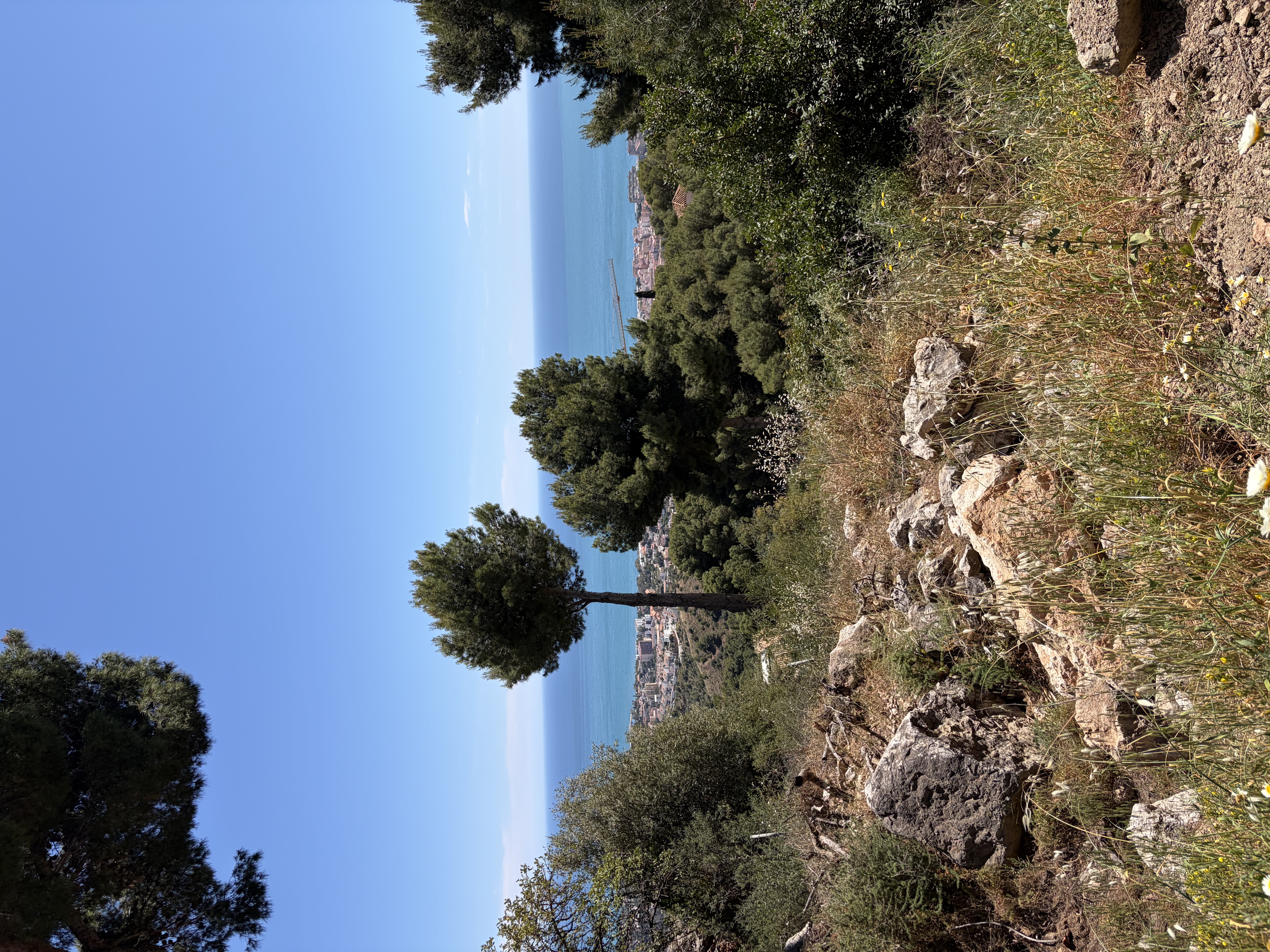 Atalaya
